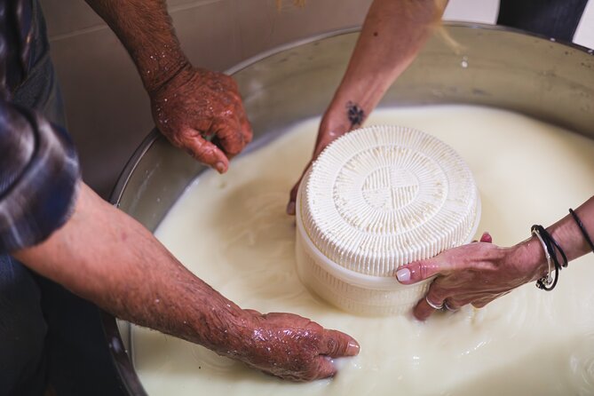 Cheese & Wine Trails - Naxos - Picking up in Naxos: small-group comfort and a clear starting point