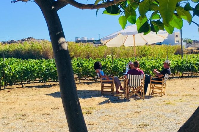 Cheese & Wine Trails - Naxos - The tasting finale: 3 wines, grape spirits, and Naxian pairings