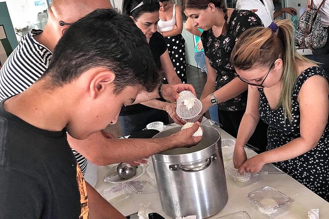 Cheesemaker for a day & visit to the dairy - Key Things You’ll Notice Right Away
