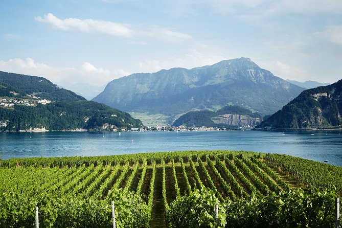 Chocolate, Cheese and Wine Tour in Luzern region - Cheese and dairy factories: your best payoff for Swiss craftsmanship