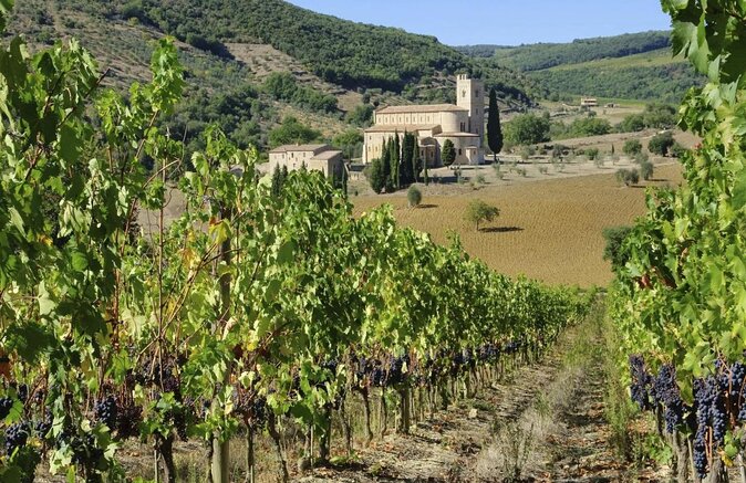 Cities, Cheese and Wine Tour in Pienza & Montepulciano - Key highlights at a glance