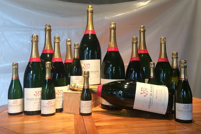 Clotilde Davenne wine and cheese pairing tasting in Chablis - Group size and English service: what it means on the ground