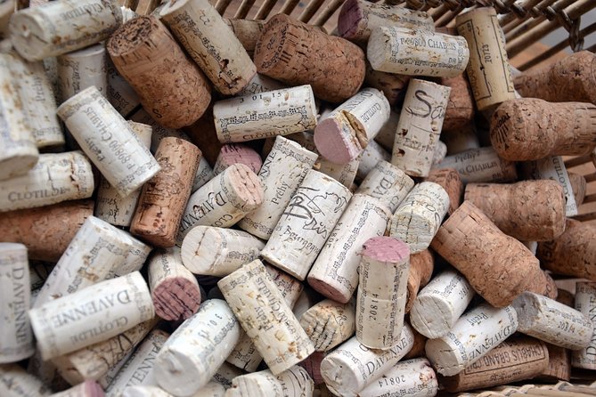 Clotilde Davenne wine and cheese pairing tasting in Chablis - Price and value: is $23.83 for 40 minutes fair?