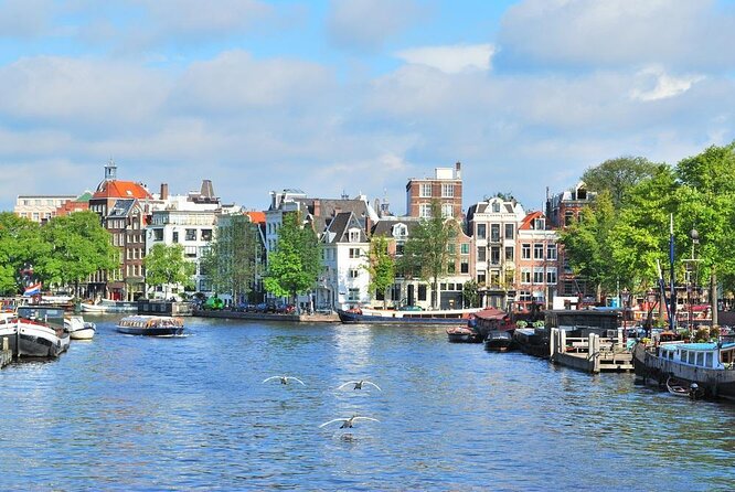 Countryside Bike Tour from Amsterdam: Cheese, Clogs & a Windmill - Quick take: Cheese, clogs, windmill, and real countryside rhythm