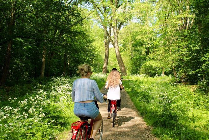 Countryside Fishermen Villages & Cheese E-bike Tour - Stop 5: Jacobs Hoeve Cheese Farm by Henri Willig for tastings and cheesemaking