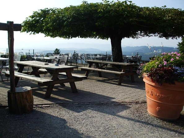 Culinary Tour from Zurich with Traditional Swiss Cheese Fondue Dinner - Key things to know before you go