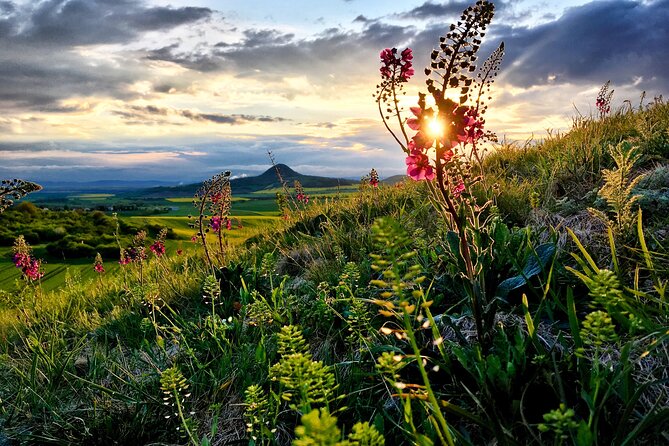 Czech garnet panning, scenic drive, farm & cheese, lunch & beer - Should You Book This Czech Garnet and Goat Cheese Day?