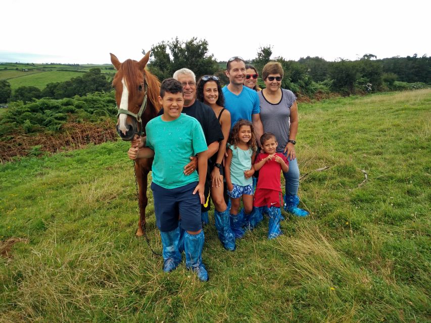 Dairy farm Visit and Cow Milking Experience in Azores - Pasture time and animal-friendly rules that keep it safe