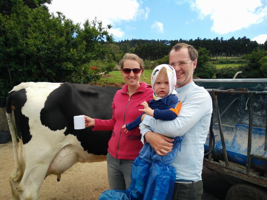 Dairy farm Visit and Cow Milking Experience in Azores - Price and value for a 3.5-hour small-group experience