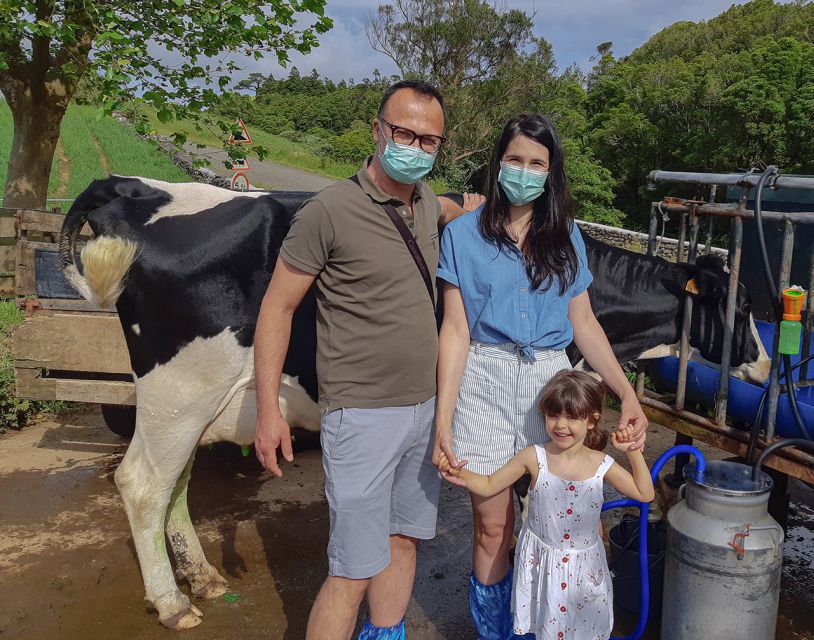 Dairy farm Visit and Cow Milking Experience in Azores - Who should book this cow milking tour on the Azores