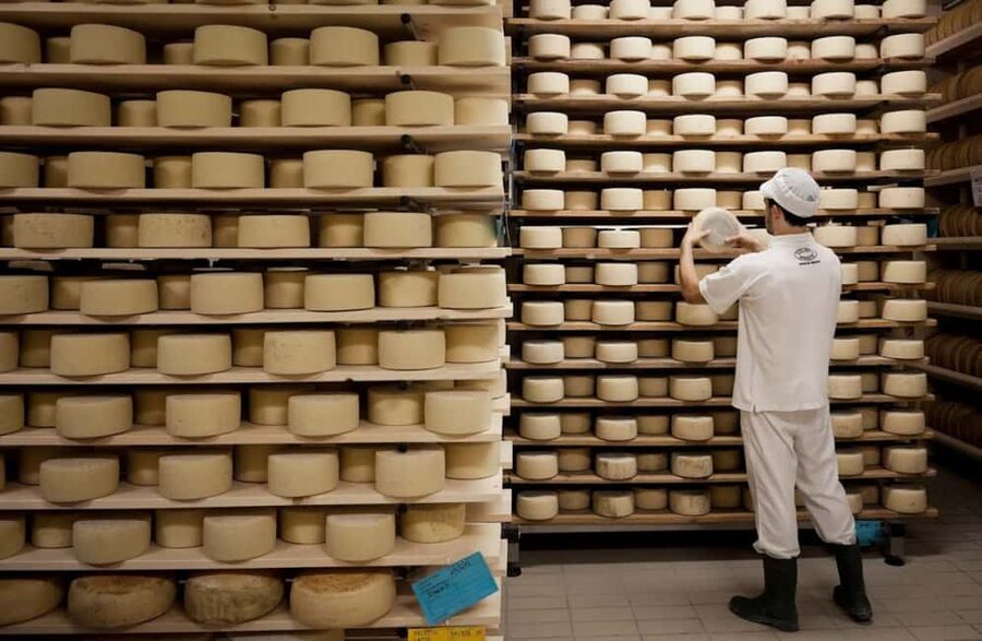 Dairy Tour with Cheese Tasting & Prosecco near Treviso - Who this tour fits best near Treviso (and who might skip it)
