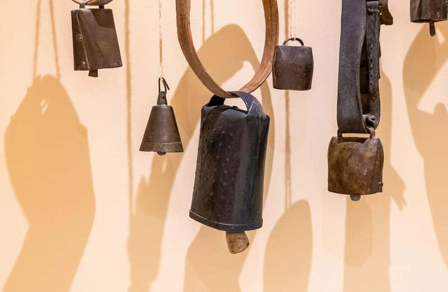Dairy Tour with Cheese Tasting & Prosecco near Treviso - Should you book this cheese-and-Prosecco tour near Treviso?