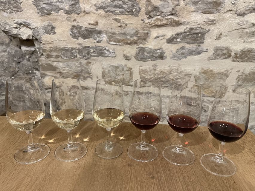 Dijon: Cheese and Burgundy Wine Tasting Workshop - Where You Meet (And Why It Matters in Dijon)