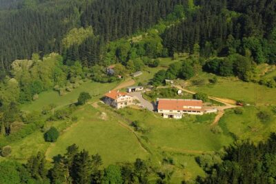 Discover the Art of Idiazabal Cheese in the Basque Country - Cheese tasting and cider pairing: how to make it count
