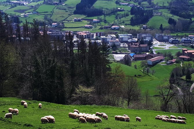 Discover the Art of Idiazabal Cheese in the Basque Country - Hotel pickup and private vehicle: the San Sebastián convenience win
