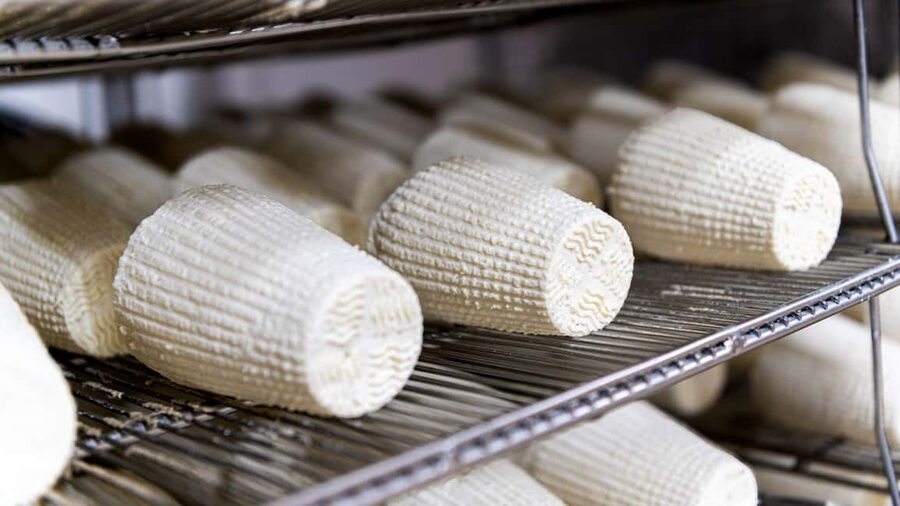 Dolianova: visit and workshop in a cheese factory - Dolianova’s Cheese Factory: What Makes It Worth Your Time