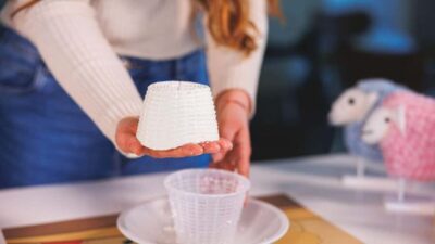 Dolianova: visit and workshop in a cheese factory - The Guided Tour: From Milk Testing to Packaging and Shipping