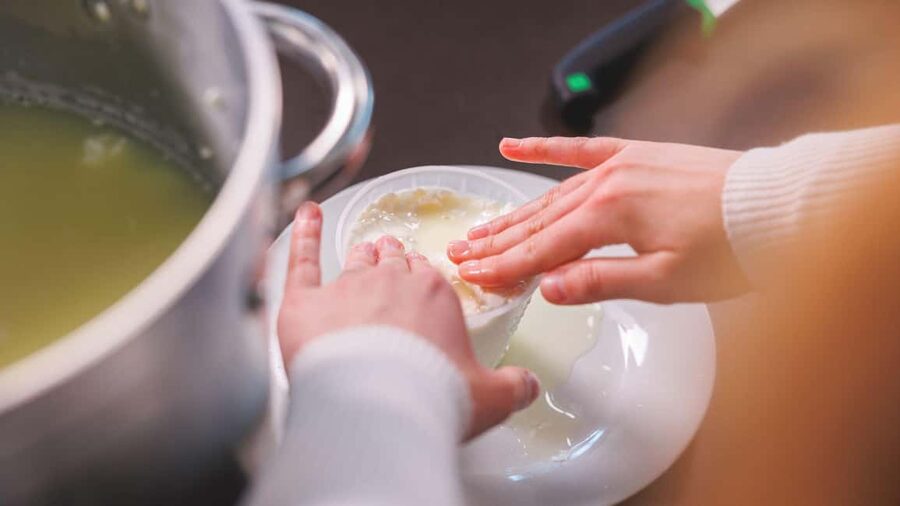 Dolianova: visit and workshop in a cheese factory - Price and Value: Is $84 for 2.5 Hours a Good Deal?