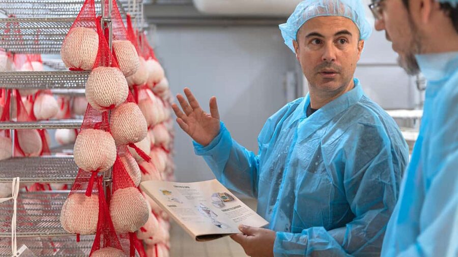 Dolianova: visit and workshop in a cheese factory - Logistics That Matter in Dolianova: Meeting Point, Time, and Group Size