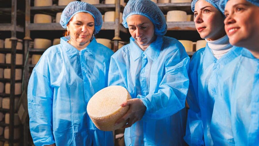 Dolianova: visit and workshop in a cheese factory - Should You Book Dolianova’s Cheese Factory Visit and Workshop?