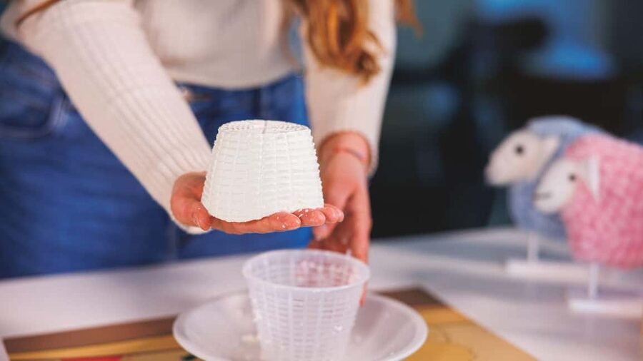 Dolianova: visit and workshop in a cheese factory - The Guided Tour: From Milk Testing to Packaging and Shipping