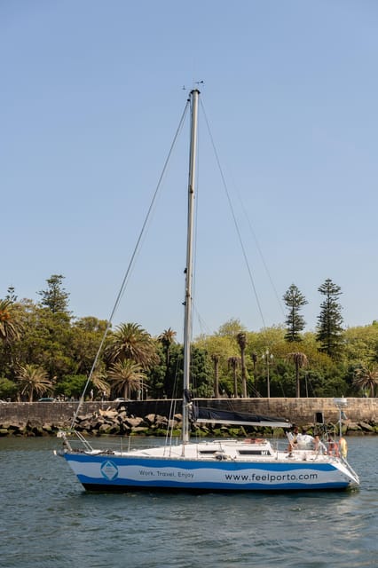 Douro River Cruise with Cheese & Tonic Porto in a Sailboat - Small group comfort: why 10 people changes everything