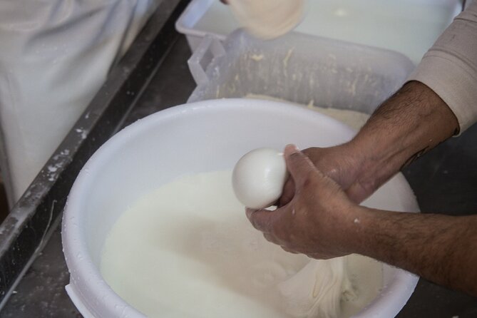 E-bike tour Martina Franca e Locorotondo and visit a dairy - When to go and what weather means for your schedule