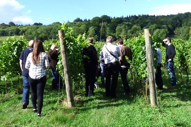 English Wine and Cheese Tour from London - What’s included (and what you should budget for)