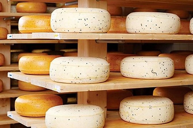 Ensenada Shore Excursion: Wine and Cheese Tour with Lunch in Ojos Negros Valley - Key Highlights You’ll Actually Care About