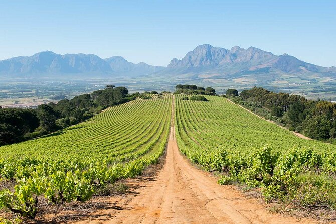 Experience 16 Wine Tasting & 6 Cheese Pairing across 3 Vineyards - A smooth private day: why this route feels worth it