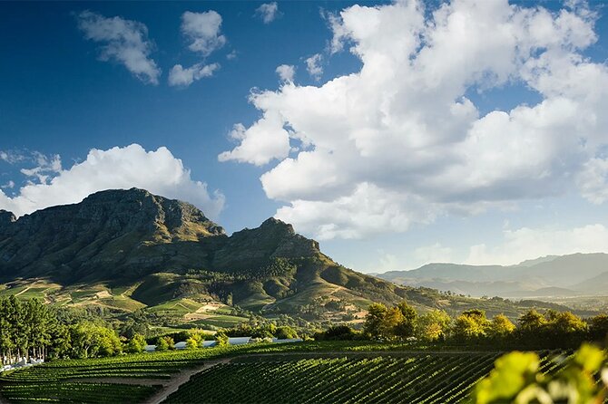 Experience 16 Wine Tasting & 6 Cheese Pairing across 3 Vineyards - Lanzerac Wine Estate: historic charm with guided tastings