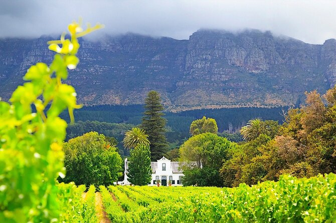 Experience 16 Wine Tasting & 6 Cheese Pairing across 3 Vineyards - Timing and transport: what the 6–7 hours really means