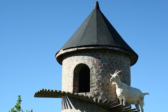 Experience 16 Wine Tasting & 6 Cheese Pairing across 3 Vineyards - How to plan your day so the tastings feel fun