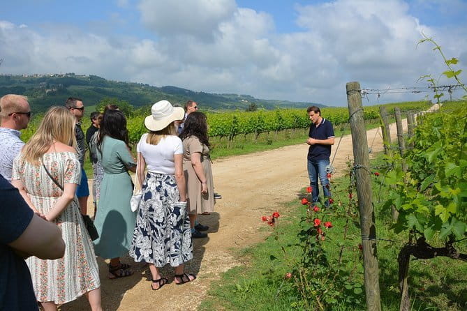 Experience Chianti & Cheese w/ 3 wineries & dairy visit—max 8 pp - Three Wineries and Three Tastings: How to Make the Most of It