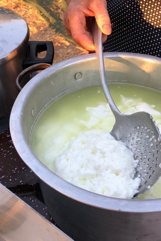Farm Tour with Cheese-Making, Olive Oil Tasting & Picnic - Greenhouses and farm produce: why it matters beyond the island