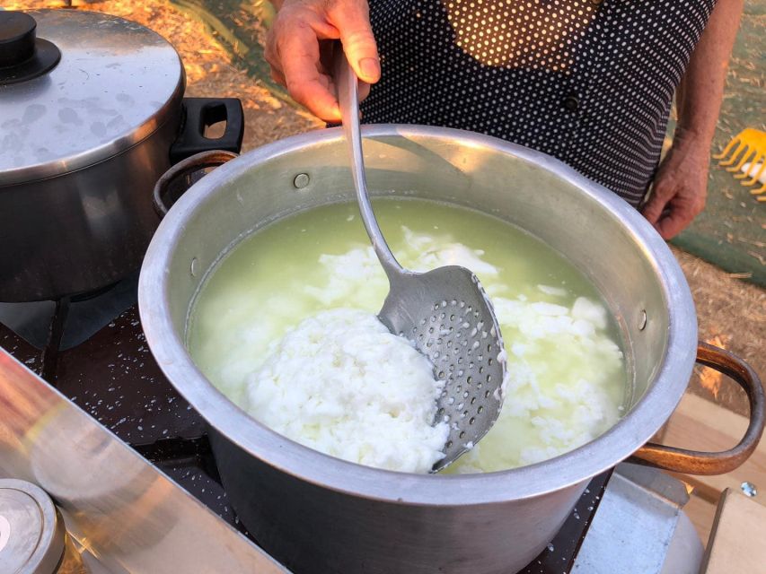 Farm Tour with Cheese-Making, Olive Oil Tasting & Picnic - Price and value: what $60 buys you in real terms