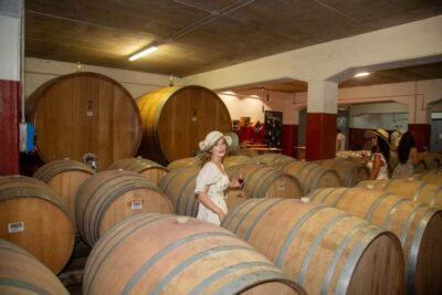 Florence: The secret of wine, cheese and olive oil at a farm - Entering Fattoria Palaia: cellar, cheese room, and how you start tasting