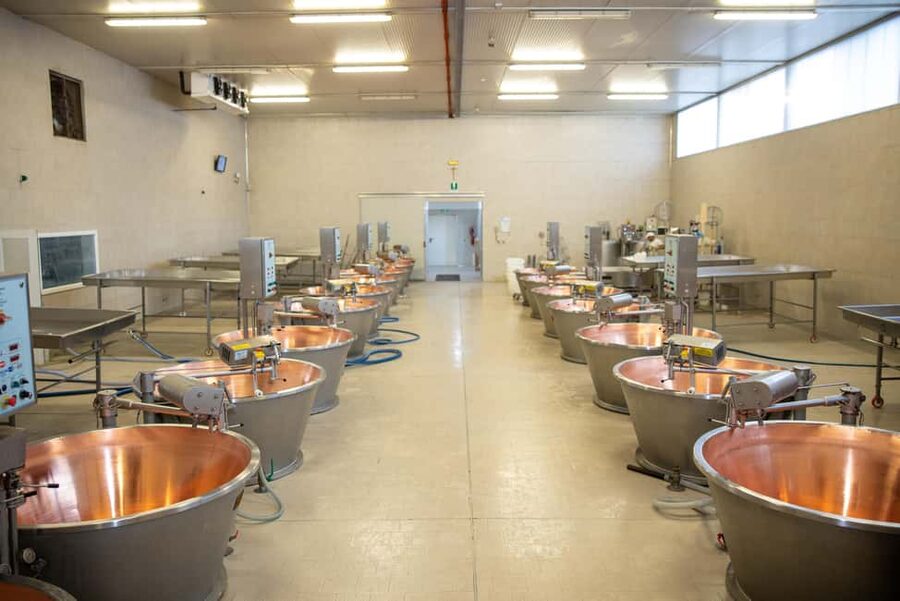 Formigine: Parmesan cheese tour with full tasting - Parmigiano Reggiano at Azienda Agricola Moscattini: farm life meets real production