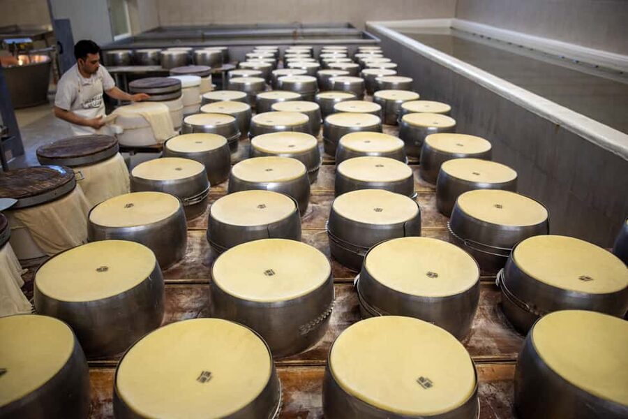 Formigine: Parmesan cheese tour with full tasting - How long is it, and what to expect from the pacing