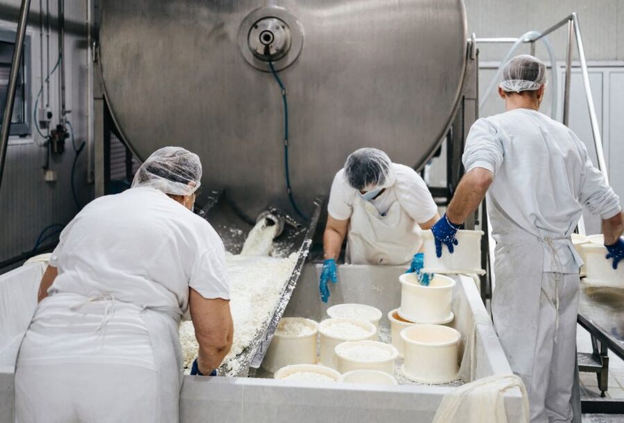 From Bologna: Parma Cheese & Ham Factory Tours and Tastings - Key Points Before You Go