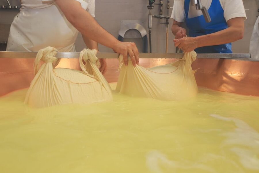 From Bologna: Parma Cheese & Ham Factory Tours and Tastings - Inside the Parmigiano Reggiano Producer: From Milk to Wheels