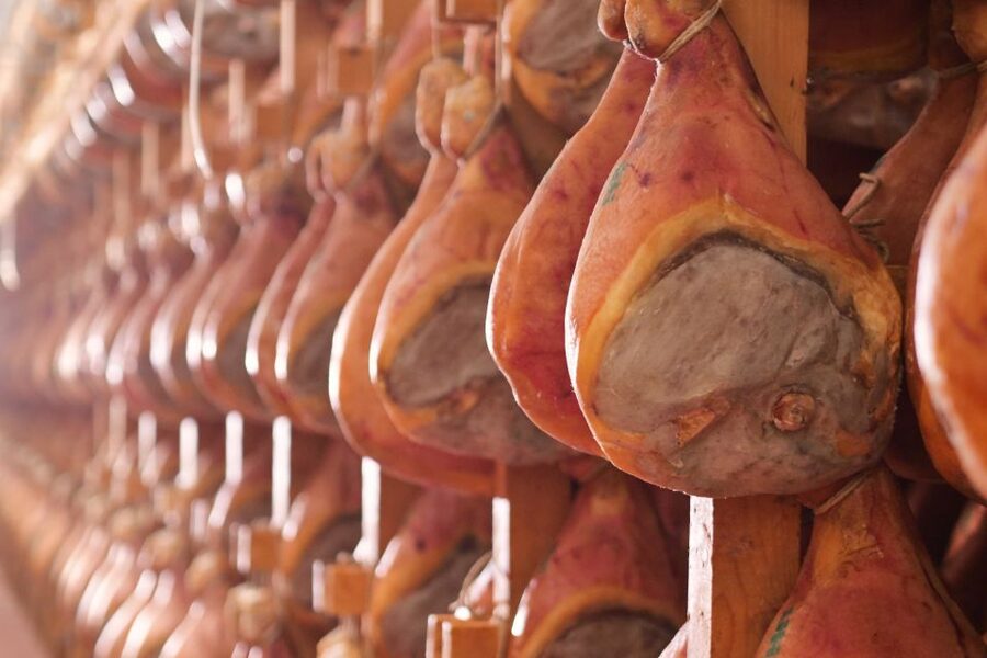 From Bologna: Parma Cheese & Ham Factory Tours and Tastings - Ham and Wine Tasting: What You’re Really Learning to Taste