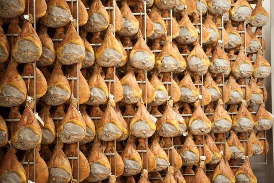 From Bologna: Parma Cheese & Ham Factory Tours and Tastings - Price and Value: Why $178.99 Can Make Sense