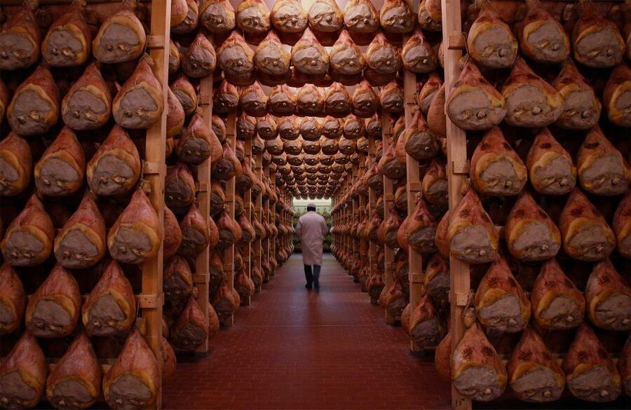 From Bologna: Parma Cheese & Ham Factory Tours and Tastings - Who This Tour Is Best For (and Who Might Skip)