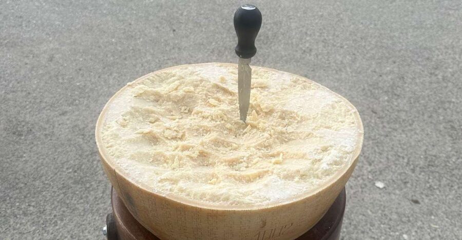 From Bologna: Parmesan Cheese & Balsamic Vinegar Tour+Lunch - Comparing tastes: ages of Parmigiano, ricotta, caciotta, and classic pairings