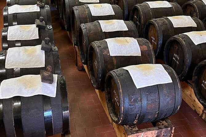 From Bologna: Parmesan Cheese & Balsamic Vinegar Tour+Lunch - Small group, English host, and producer-led visits