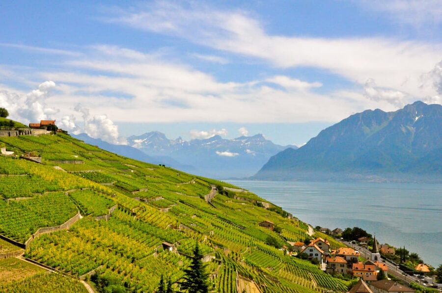 From Geneva: Gruyères Private Tour Cheese & Chocolat Factory - What to Pack and How to Prepare for the Best Day