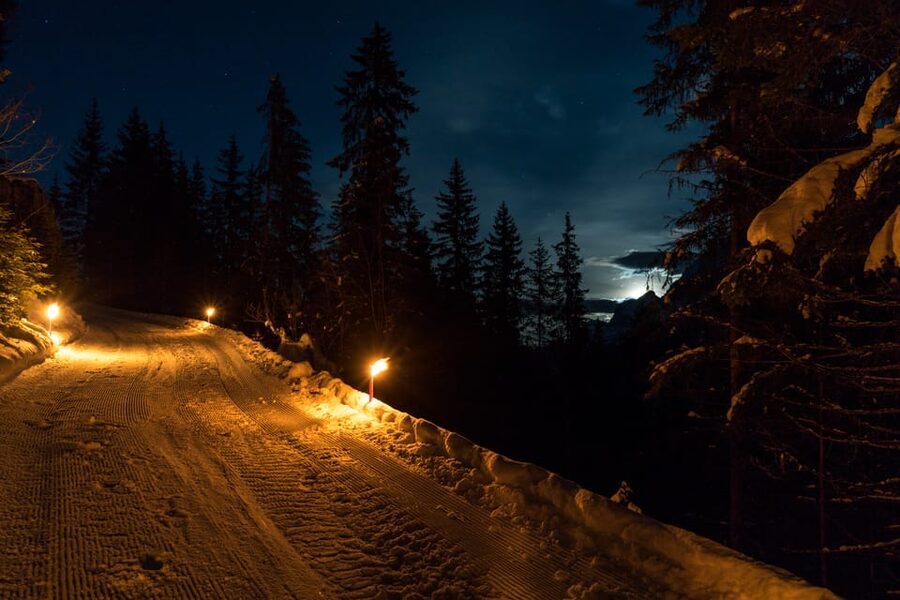 From Interlaken: Night Sledding with Cheese Fondue Dinner - Quick Decision: Should You Book This Moonlit Sledding Night?