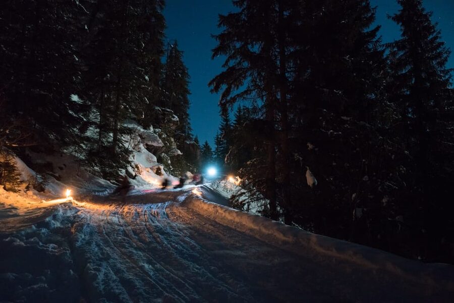 From Interlaken: Night Sledding with Cheese Fondue Dinner - Price and Value: Is $166 Fair for This Package?