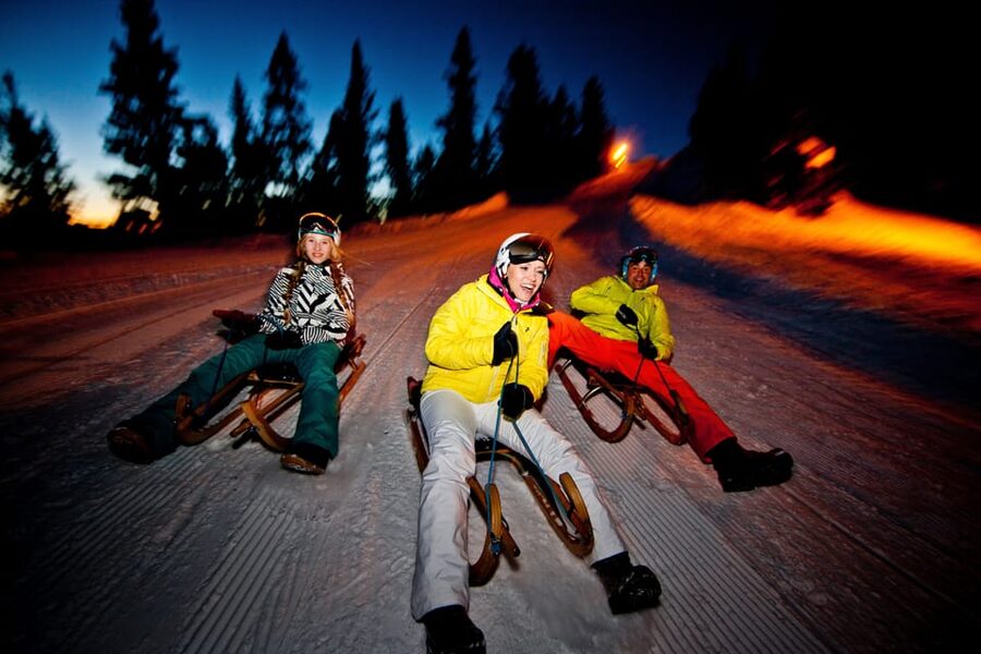 From Interlaken: Night Sledding with Cheese Fondue Dinner - Who This Sled + Fondue Night Is Best For